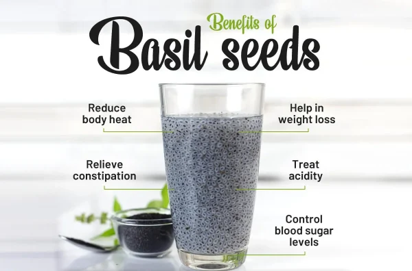 Top op Basil seeds/ Tukmario seeds - 100g