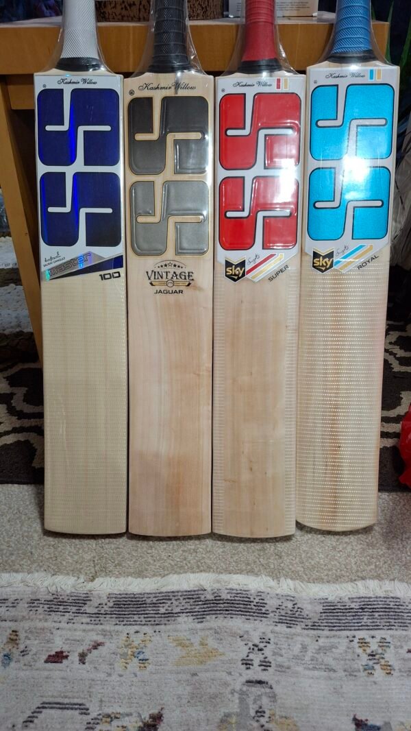 SS Kashmir Willow Bat  Adult size Short handle - Image 2