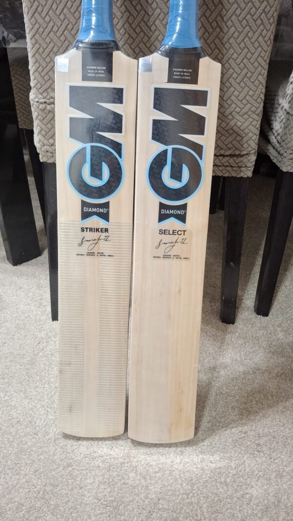 GM Diamond Cricket Bat Kashmir Willow Adult SH